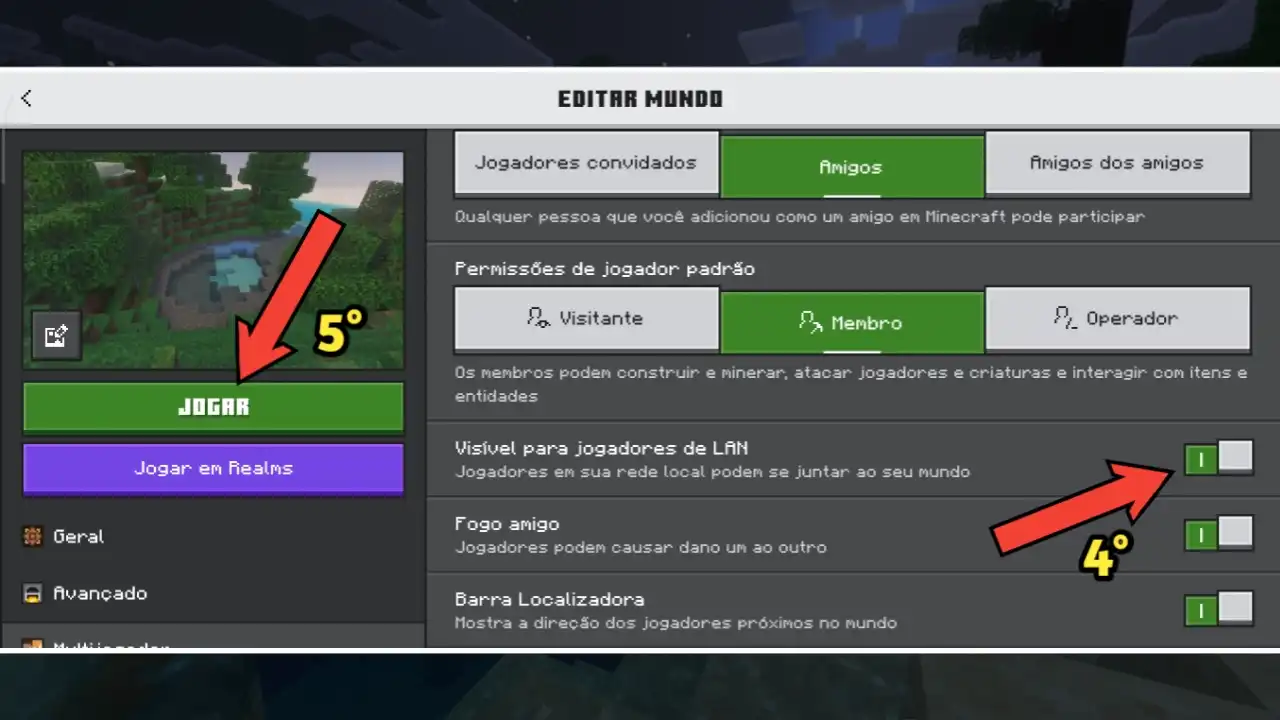 Ative a opção “Visível para jogadores de LAN”
