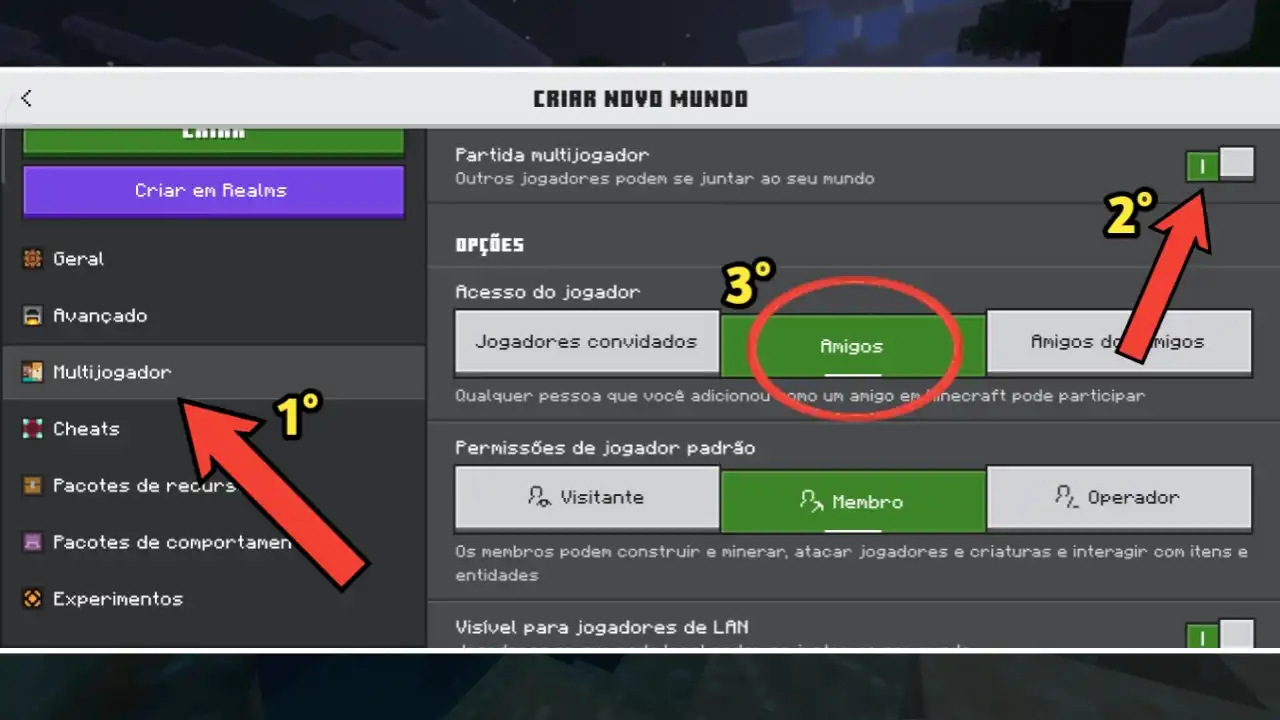 No menu lateral, desça até a seção Multijogador