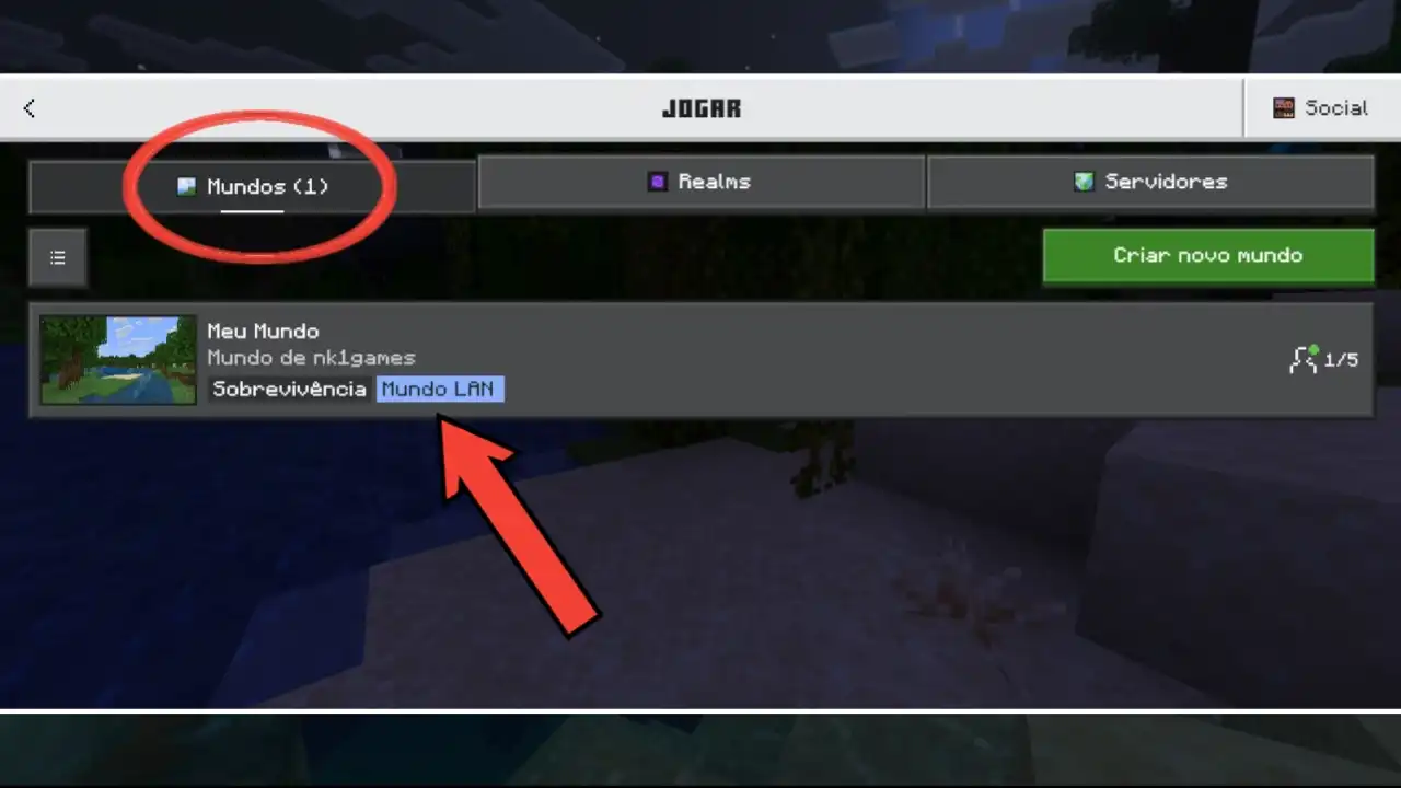 Procure pelo mundo marcado como “Mundo LAN”