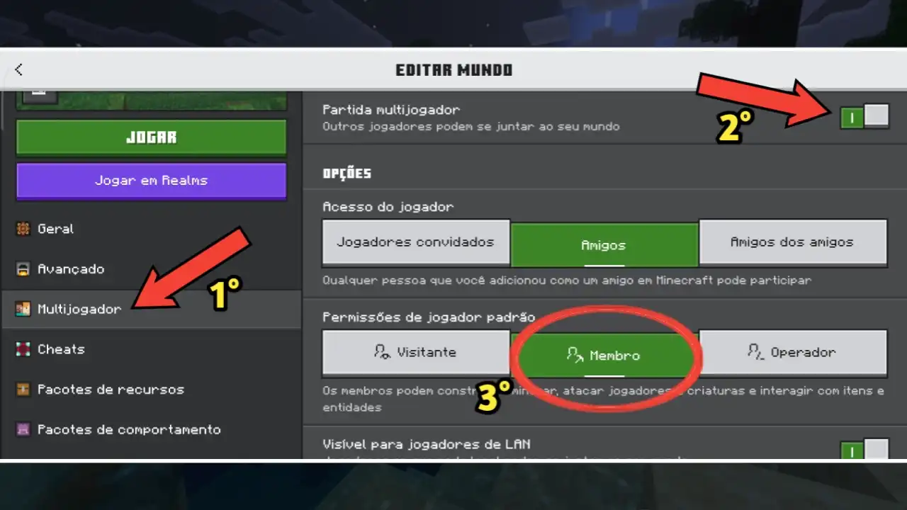 Vá até a seção Multijogador